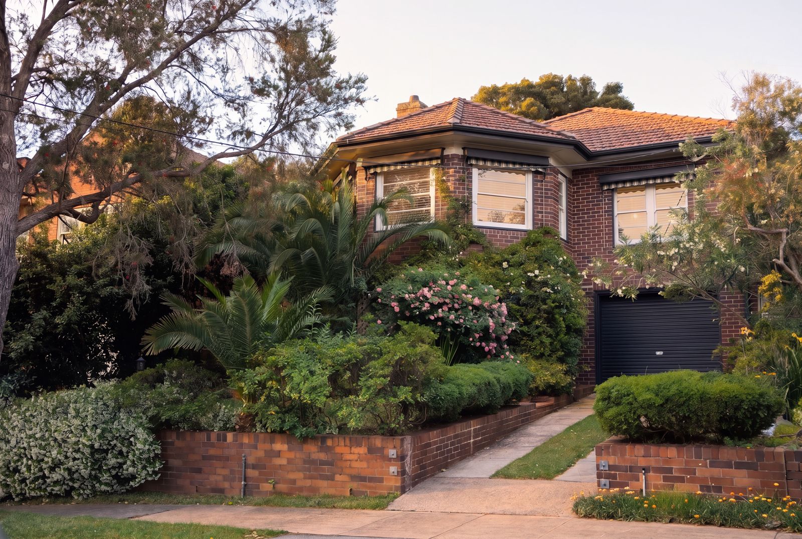 60 Pacific Avenue, Penshurst - Image 1